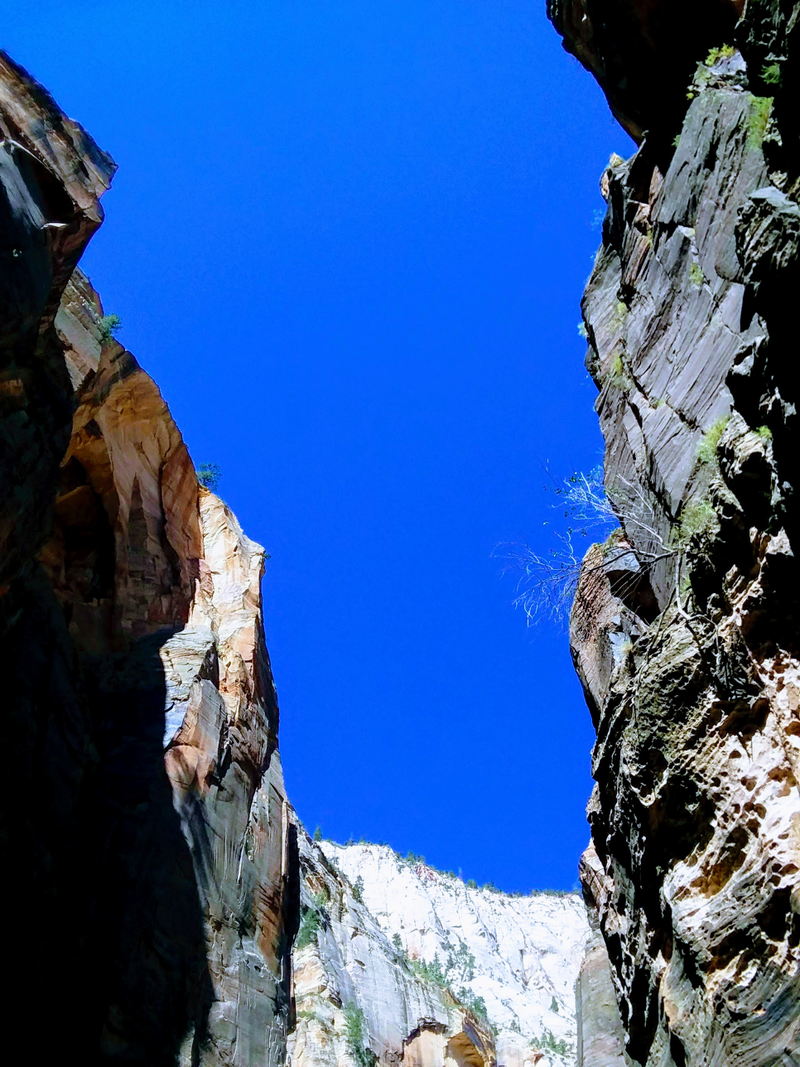 Illustration for article titled Zion National Park is what America is about.